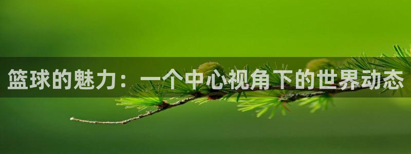 篮球的魅力：一个中心视角下的世界动态