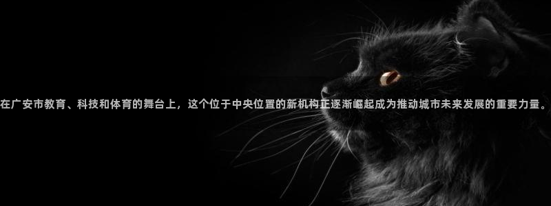 在广安市教育、科技和体育的舞台上，这个位于中央位置的新机构正逐渐崛起成为推动城市未来发展的重要力量。
