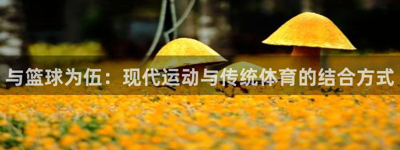 与篮球为伍：现代运动与传统体育的结合方式